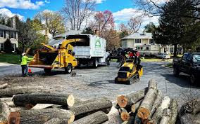 Best Organic Lawn Care Solutions  in Idabel, OK