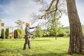 Best Lawn Grading and Leveling  in Idabel, OK