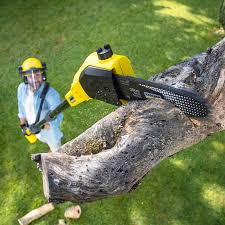 Best Tree Preservation Services  in Idabel, OK