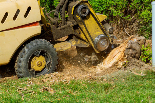 Best Lawn Irrigation Installation and Maintenance  in Idabel, OK