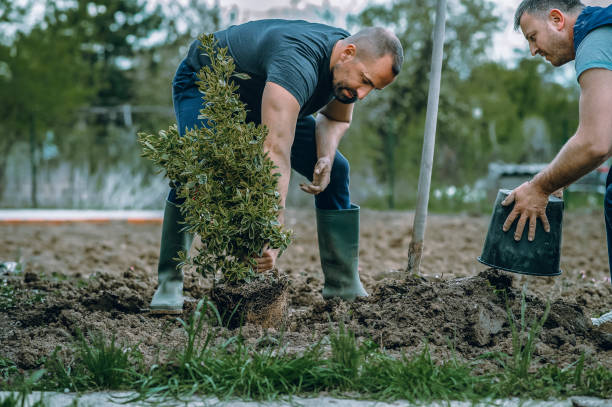 Best Pest Control for Lawns  in Idabel, OK