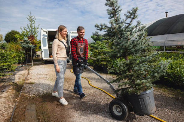 Best Storm Damage Tree Cleanup  in Idabel, OK
